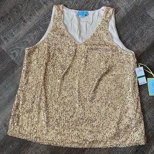 Cece V-Neck Sequin Lined Blouse- Size Large